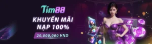 tim88